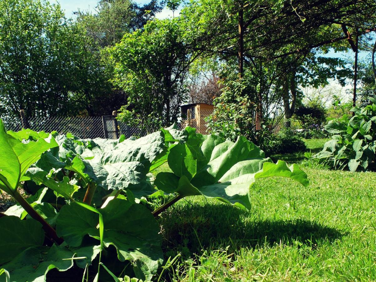 Bed and Breakfast Le The Au Jardin Saint-Julien-de-Civry Exteriér fotografie